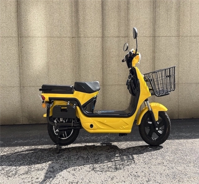 HCD NPS Cargo Delivery Scooter